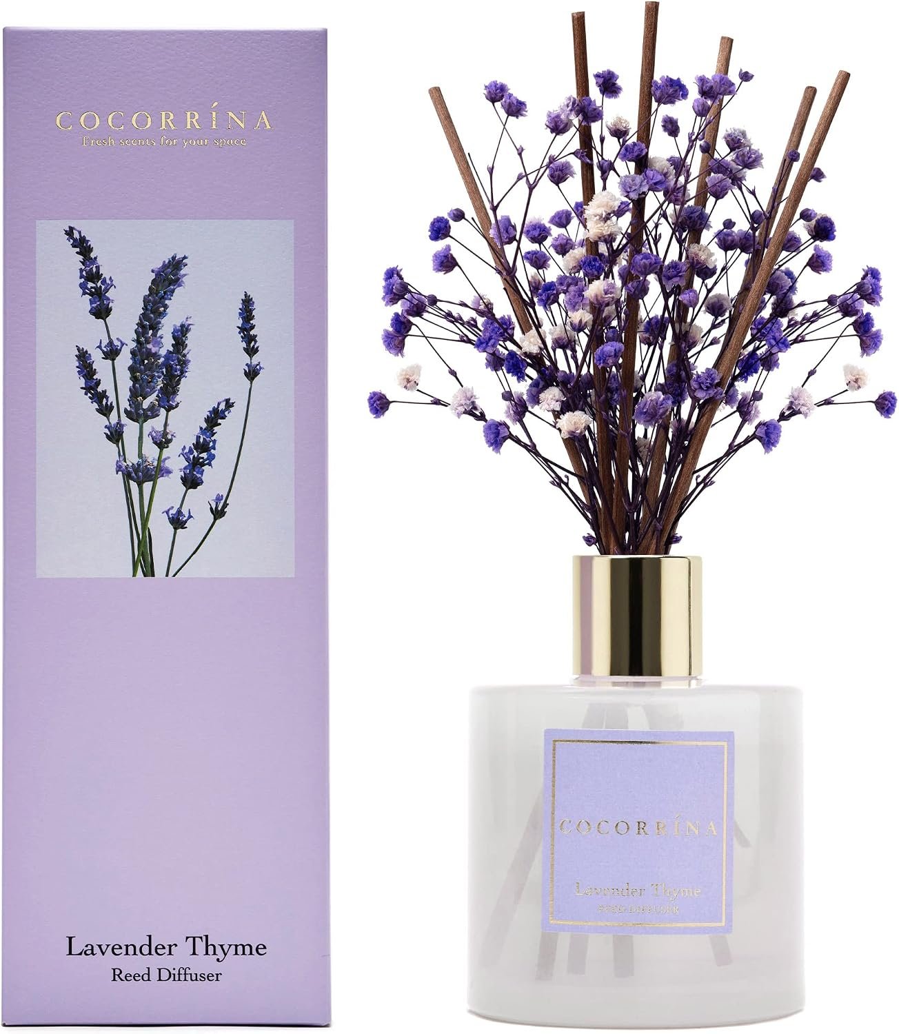 Premium Reed Diffuser Set with Preserved Baby’s Breath & Cotton Stick Lavender Thyme | 6.76 Fl.oz Scent Diffuser for Bedroom Bathroom Home Décor