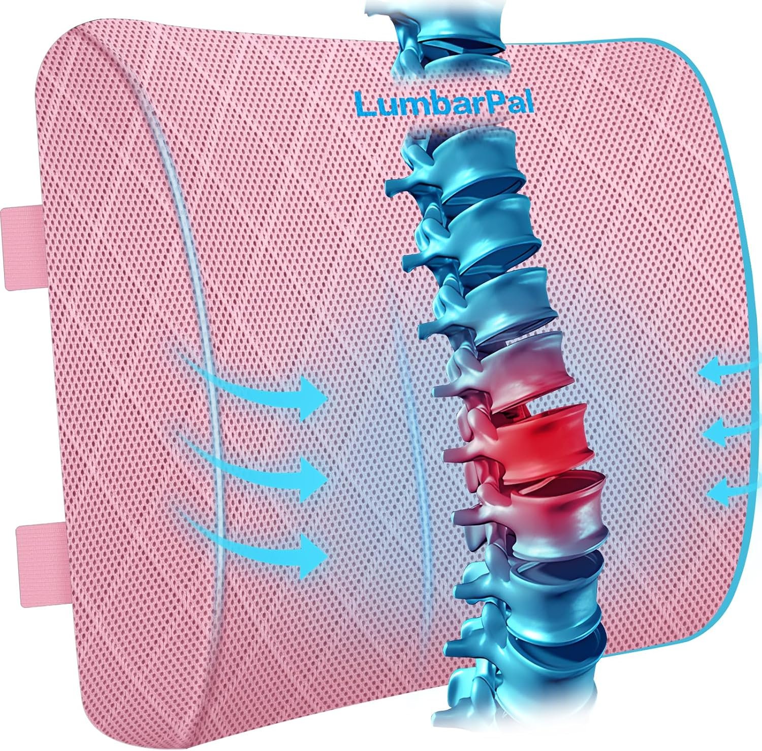 Lumbar Support Pillow for Office Chair, Back Support, Memory Foam, Pink | Improve Sitting Posture & Back Pain Relief. Lumbar Pillow Fits Office, Gaming & Car Chairs with Adjustable Dual Straps