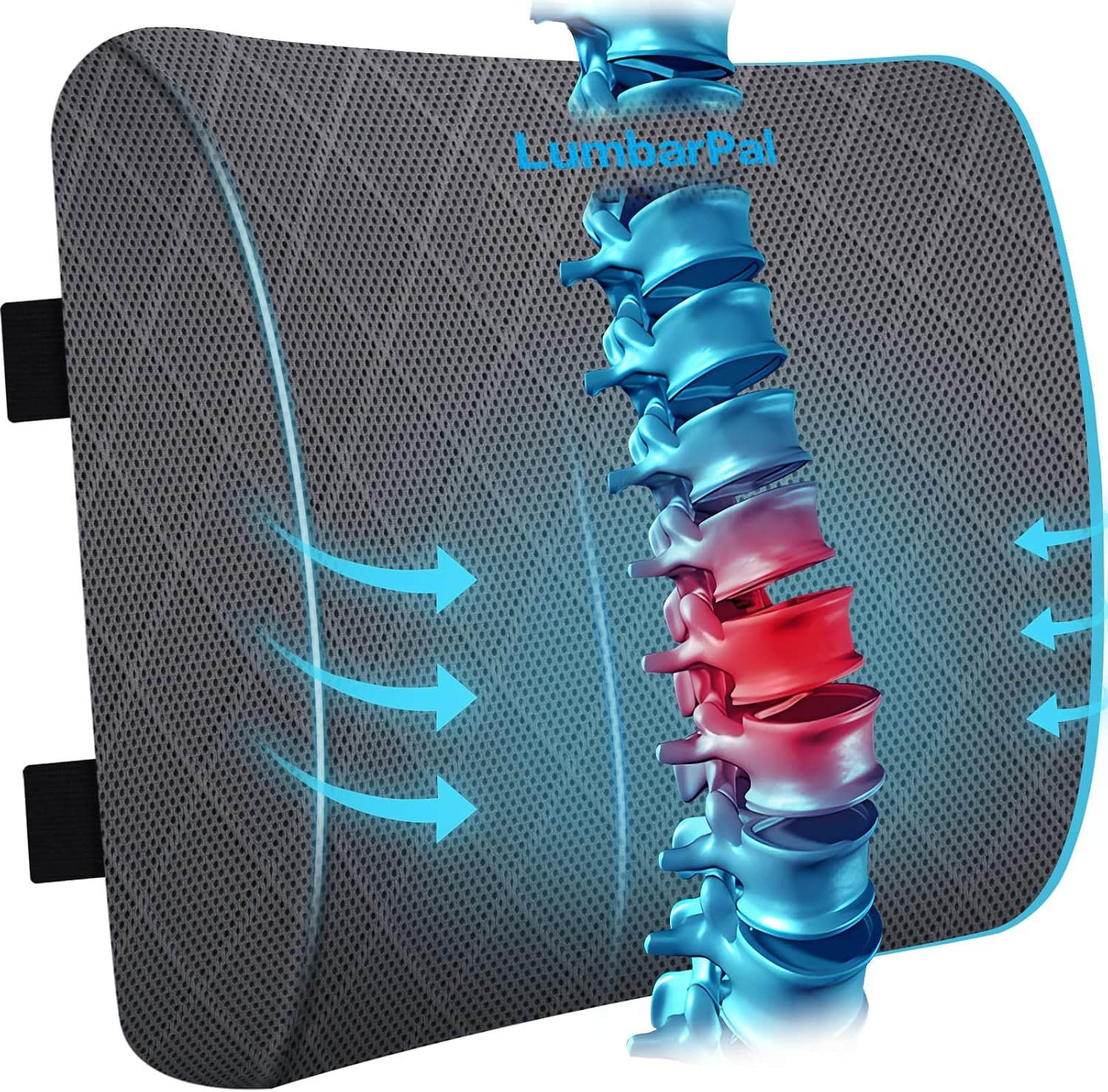 Lumbar Support Pillow for Office Chair, Back Support, Memory Foam, Grey | Improve Sitting Posture & Back Pain Relief. Lumbar Pillow Fits Office, Gaming & Car Chairs with Adjustable Dual Straps